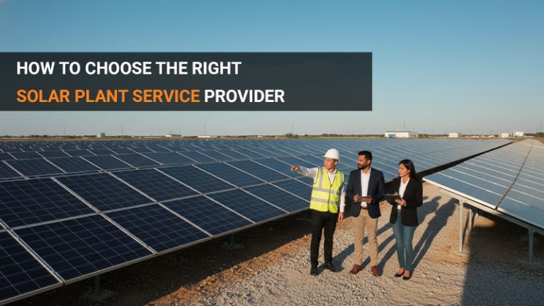How to Choose the Right Solar Plant Service Provider